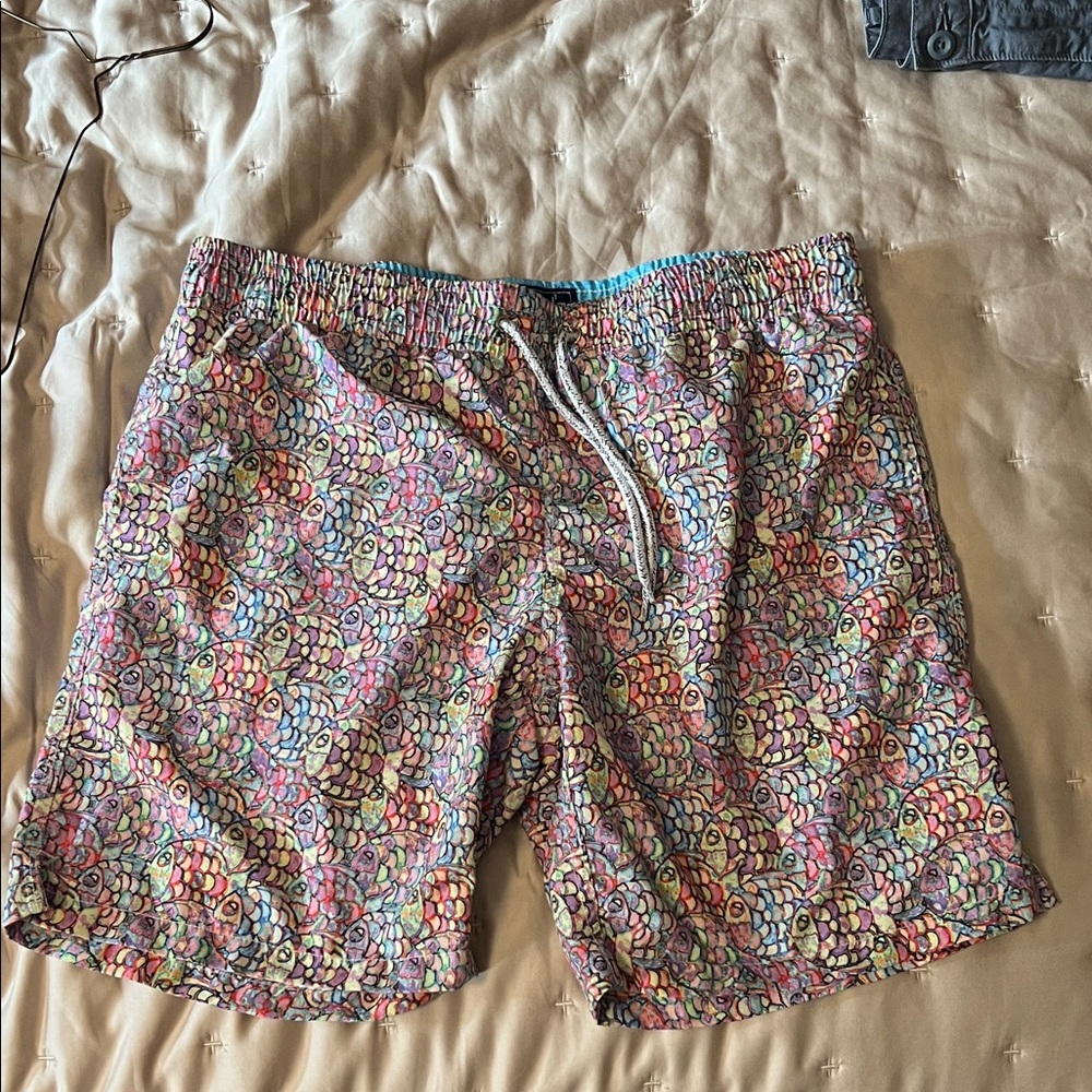 Multicolor Patterned Men's bathing Shorts